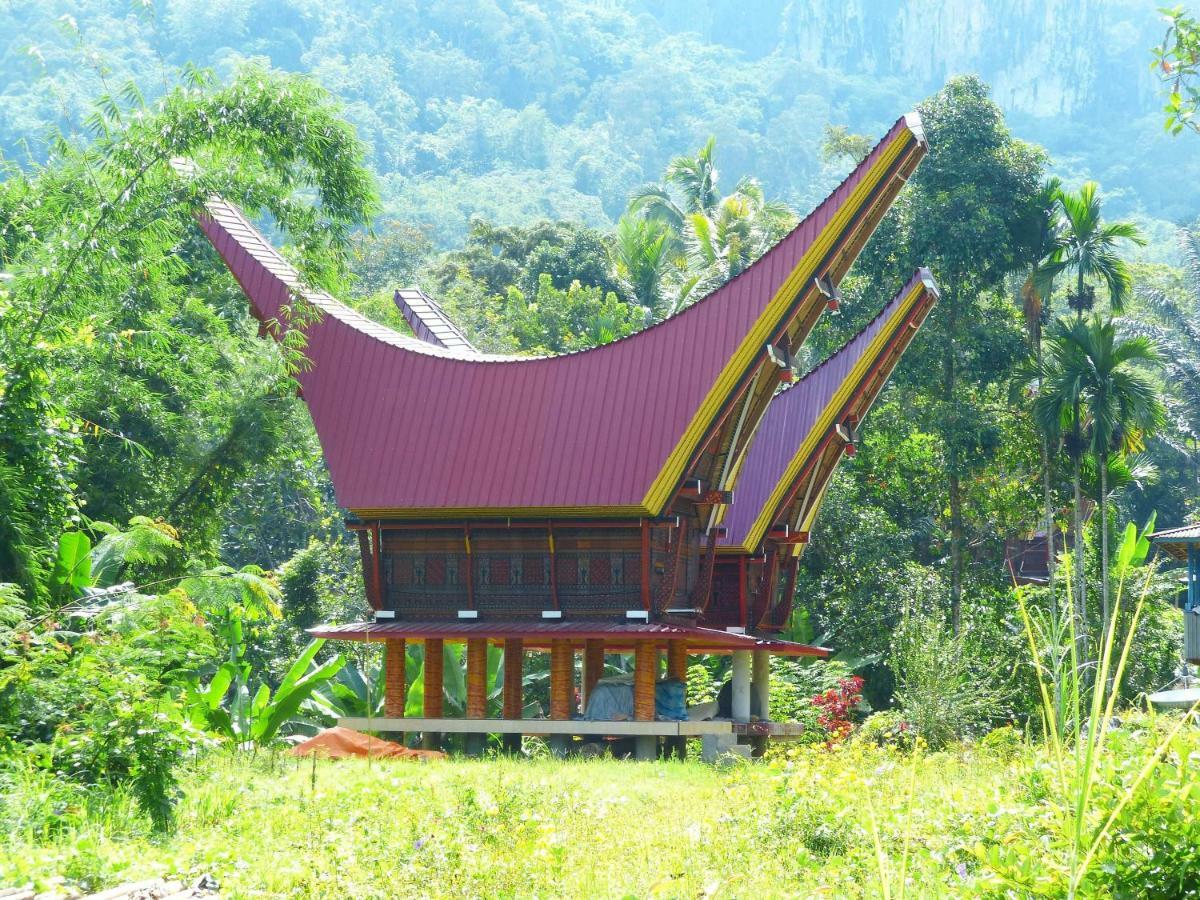 Toraja Torsina Hotel Rantepao Bagian luar foto